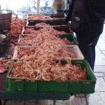 pescheria a Spalato3