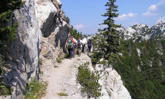 velebit premuzic img