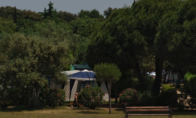 Campeggio Amarin Rovigno img