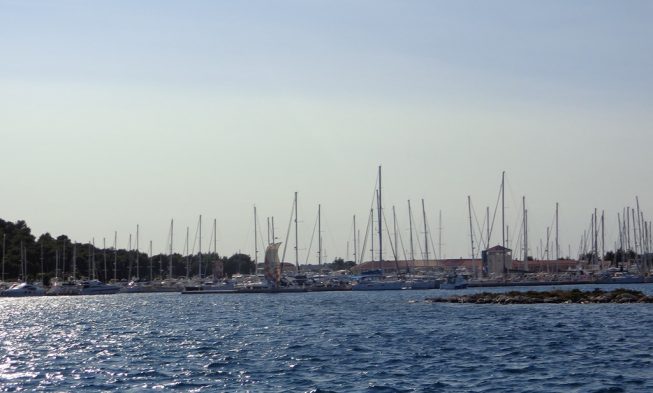 Rogoznica img
