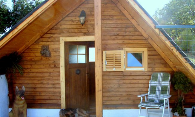 Hotel per cani img