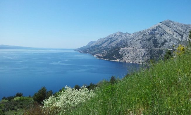 Dalmazia img